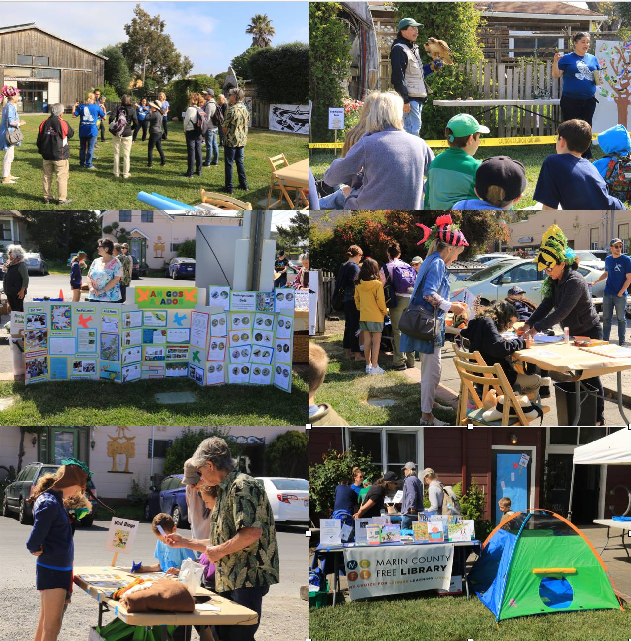 World Migratory Bird Day at the Point Reyes Birding & Nature Festival