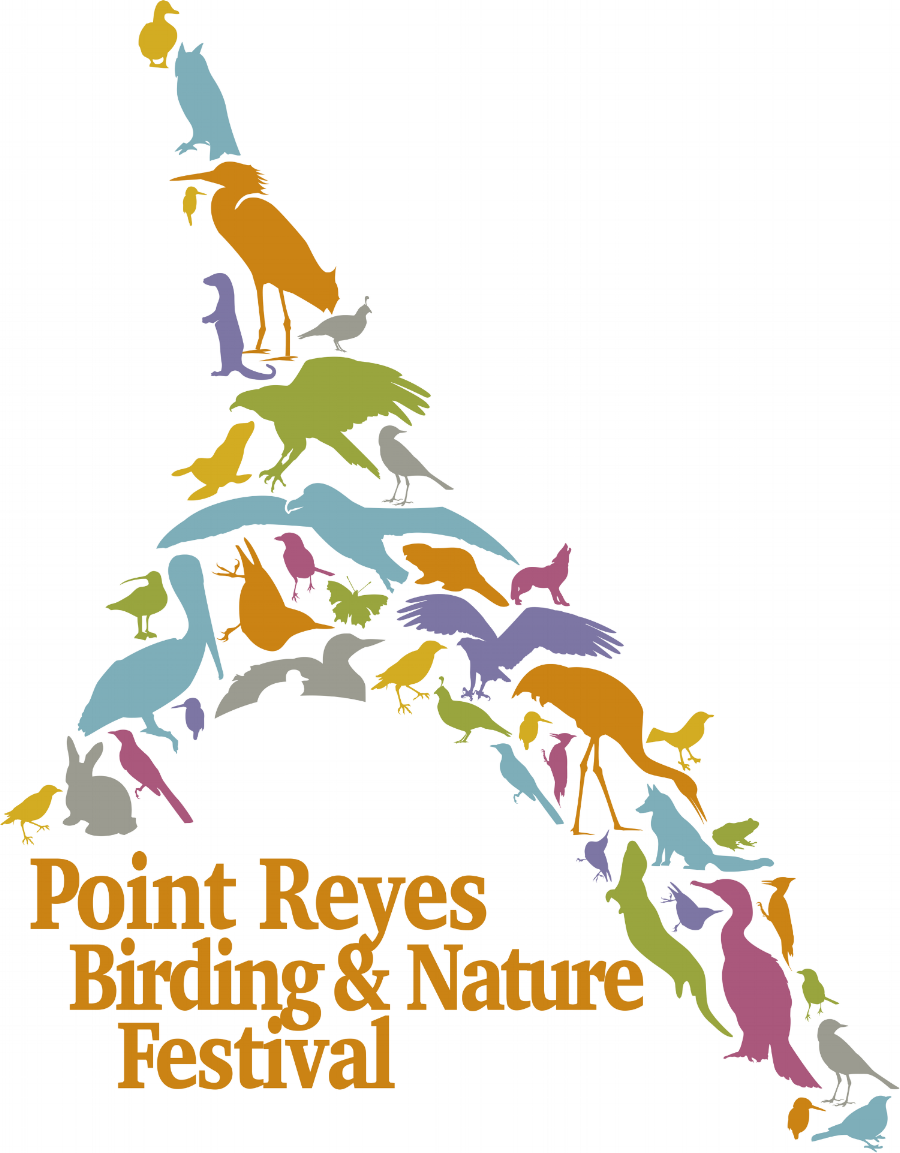 Family Programming at the Point Reyes Birding & Nature Festival/Programacion Familiar en el Festival Anual de Aves y Naturaleza Punto Reyes  